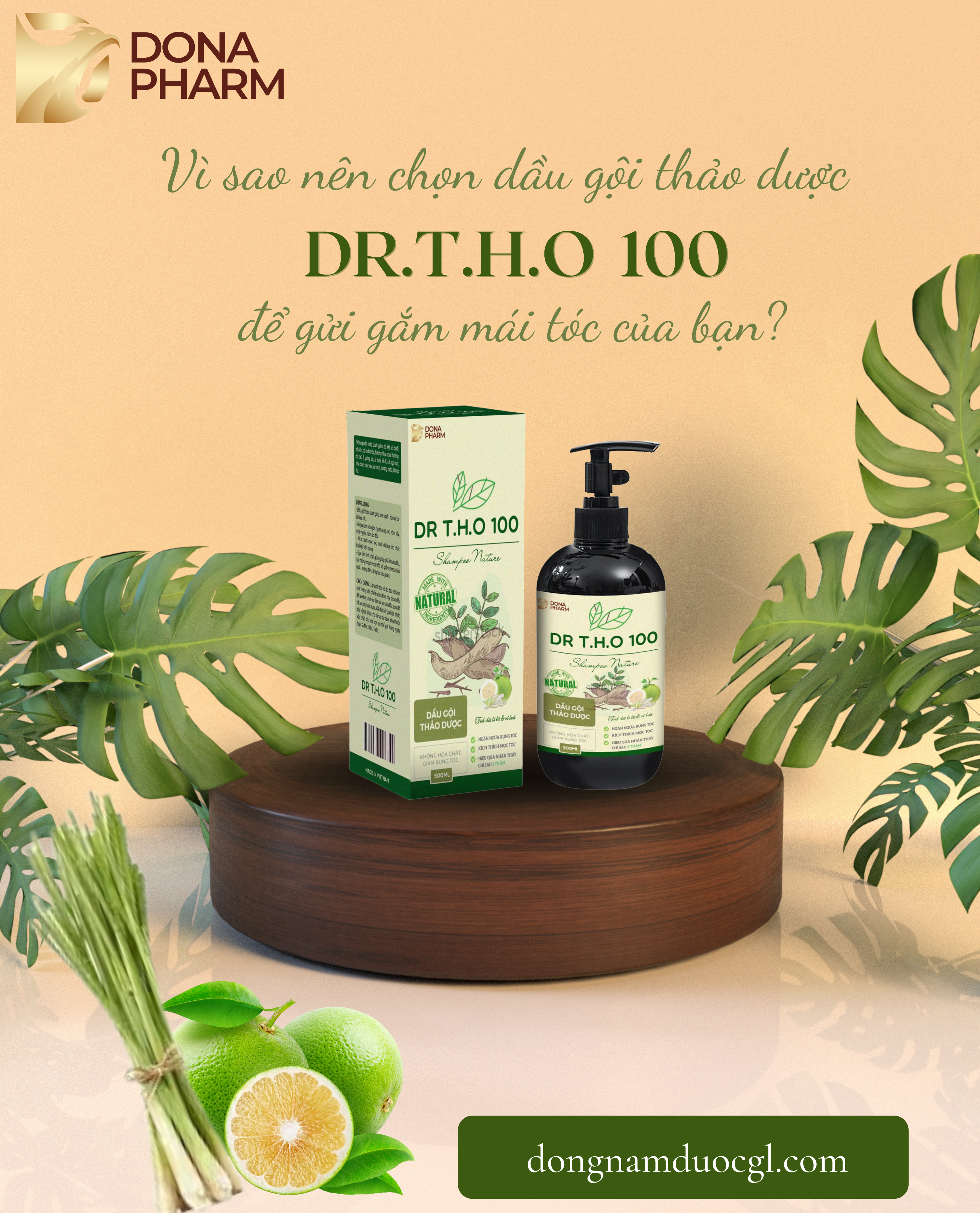 Vì sao nên chọn dầu gội thảo dược DR T.H.O 100 để gửi gắm mái tóc của bạn?